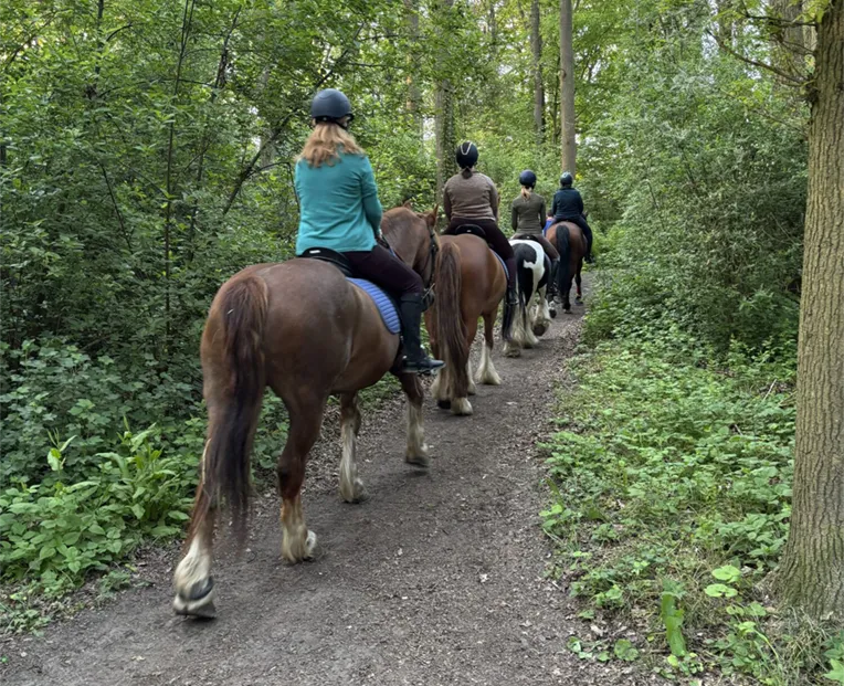 Paardrijden door het bos